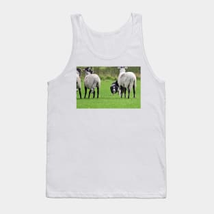 Working Sheepdog Tank Top